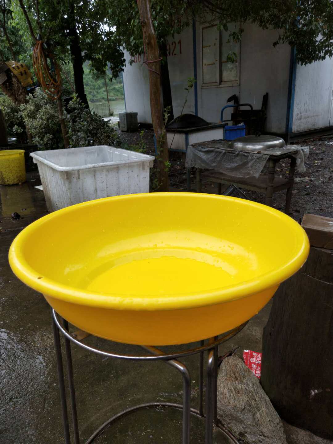 3547 out of a yellow washbasin rice bowl that doesn't suck.