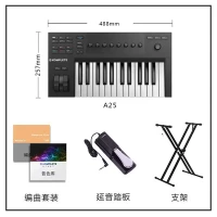 A25+Set Set+yanyin Pedal+кронштейн