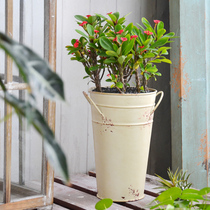 American retro tin bucket fleshy green plant pot flower pot desktop small vase dried flower bucket storage bucket
