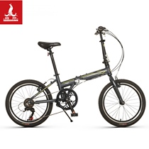 Phoenix Bike 20 Inch Fold 7 Variable-speed Mens Lightweight Scooter Aluminum Alloy Frame Adult Student Bike