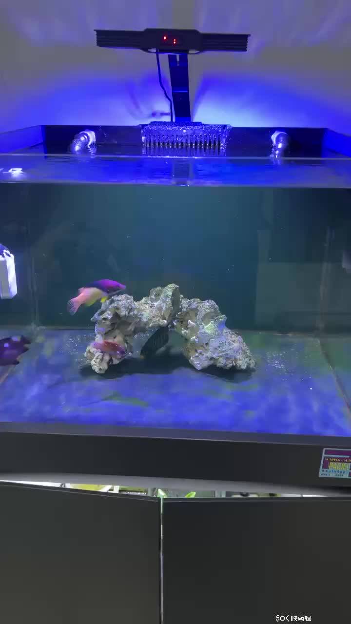 Spectra Aqua Knight V3 75w Programable Sunrise Sunset Marine Aquarium