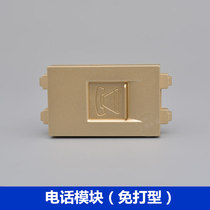 Champagne color 128 type telephone module RJ11 telephone line with door socket CAT3 voice panel module functional parts