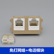 Champagne double hole network telephone module network interface computer voice switch socket 1 mesh 1 electric panel module