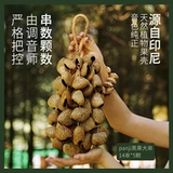 卡杜斯 Индонезийский ореховый колокольчик