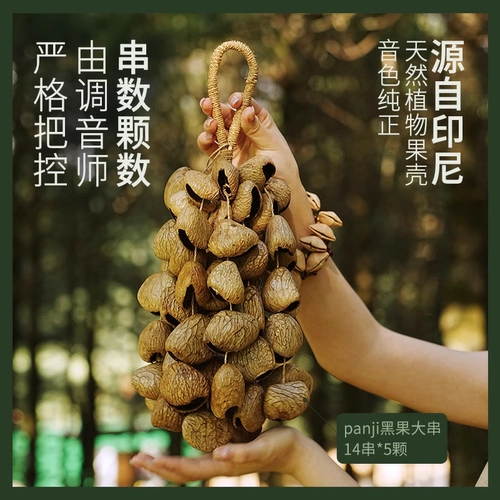 卡杜斯 Индонезийский ореховый колокольчик