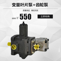 Variable vane pump distribution gear pump High and low pressure combined oil pump VP30 40 S PA VP2-30 40 GPY