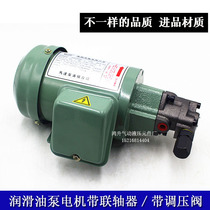 Triangle Pump Couplings Cycloidal Pump TOP-12A Triangle Lube Pump Motor 0 19 KW With Pressure Regulating Valve 13A
