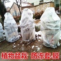 Fruit tree antifreeze cover cold and antifreeze cover thickened insulation film tree plant flower winter warm cover grape flowers and plants