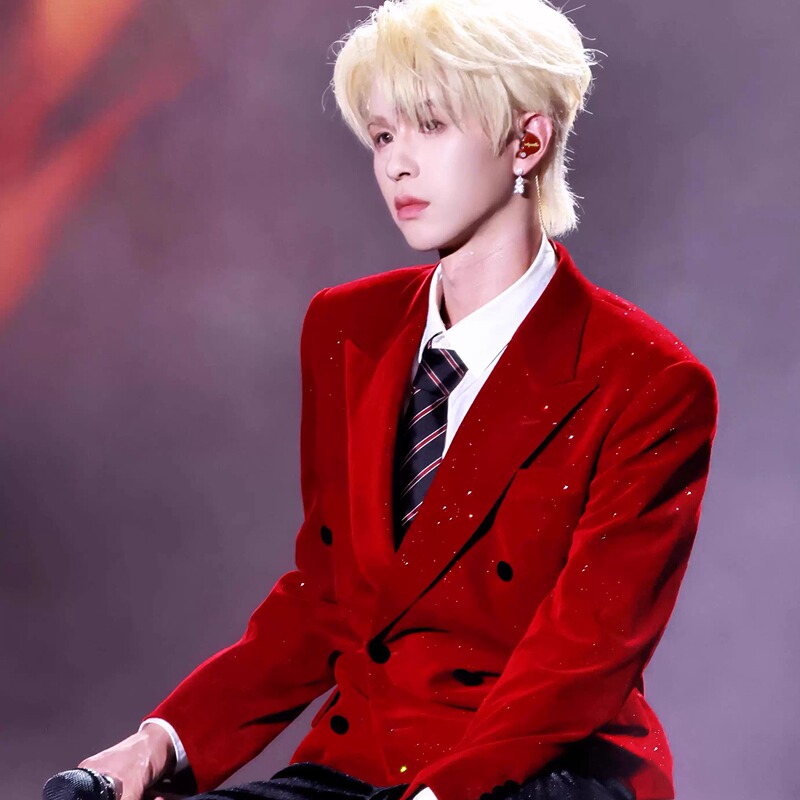 He Haonan Celebrity-Style Red Rhinestone Double-Breasted Suit for Men, Light Luxury Stage Performance High-End Suit Set He Haonan Celebrity-Style Red Rhinestone Double-Breasted Suit for Men, Light Luxury Stage Performance High-End Suit Set