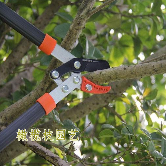 koteso pioneer shears thick branch shears small Lux kt102 labor-saving scissors 3 5 cm branch shears