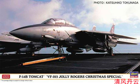 Spot Hasegawa HASEGAWA 02391 1 72 American F-14B Tomcat VF-103 Pirate Flag Saint