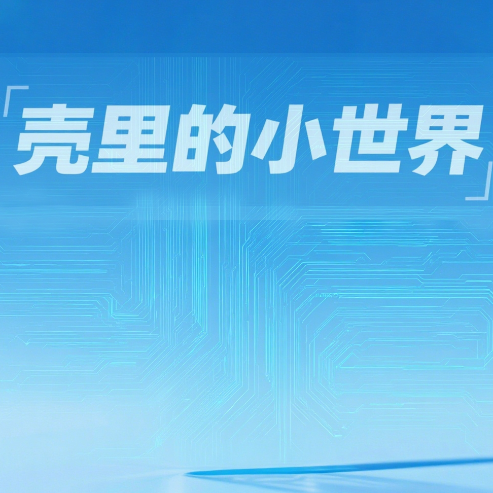 壳里的小世界