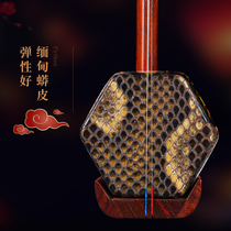 Red Wood Erhu Musical Instruments Beginners Entrance Examination Class Adults Children Folk Musical Instruments Hu Qin Manufacturers Direct Marketing