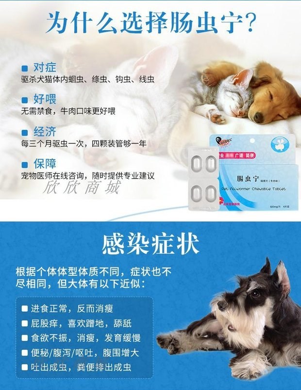 Tẩy giun cho chó, ve, côn trùng, thuốc chống côn trùng, ve, thuốc chống côn trùng, mèo, ve, ve, thuốc trừ sâu bình xịt côn trùng raid