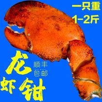 Boston lobster pliers Extra large net red frozen lobster pliers meat extra large face crab feet Large clip shrimp feet