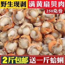 Scallop meat frozen 10 pounds of visceral super large whole box without ice coat Fresh open bag ready-to-eat garlic vermicelli shrimp