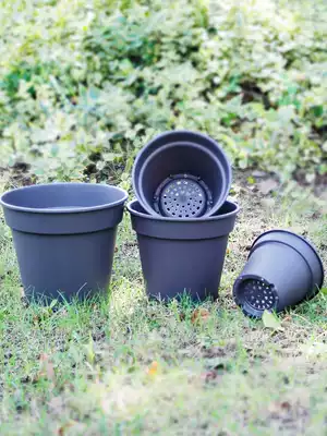 New special IRIS plastic flower pot Environmental protection vegetarian burning wind tasteless breathable gold Ge chlorophyll balcony outdoor