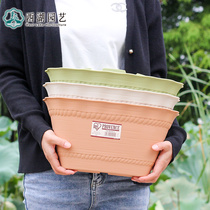 Clearance Alice plastic flower pot wall hanging balcony railing hanging flower green garden creative hook