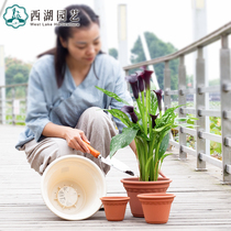 Full Alice round creative simple light and breathable green potted flower resin indoor plastic flower pot