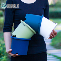 Gallen pot Alice color deepened pot deep flower pot resin plastic flower pot Alice deeppot