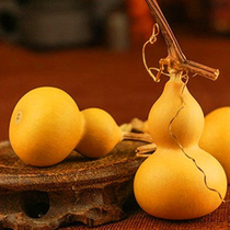 Play gourd boutiques with faucet natural American small gourd hand twist gourd iron clad gold winner play small gourd