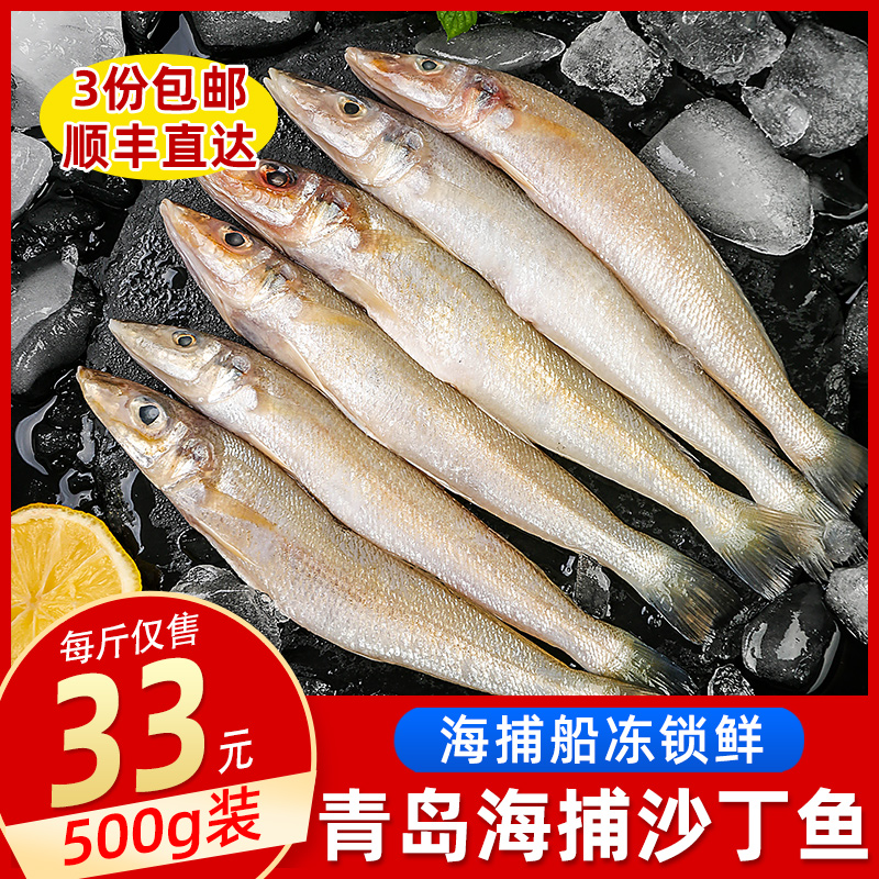 Sardines Fresh live frozen deep-sea fish class Qingdao Seafood Aquatic Products 500 gr full 3 copies