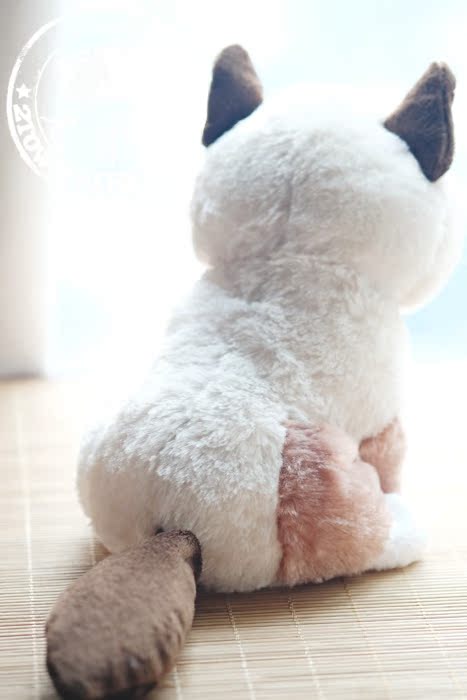 Peluche manga grumpy cat - Ref 2696050 Image 37