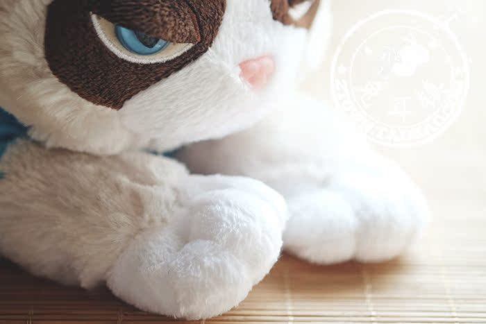 Peluche manga grumpy cat - Ref 2696050 Image 67