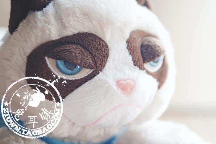 Peluche manga grumpy cat - Ref 2696050 Image 66