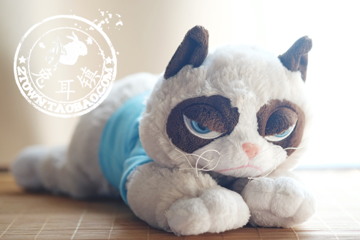 Peluche manga grumpy cat - Ref 2696050 Image 70