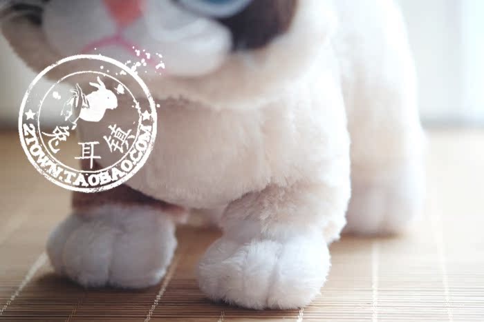 Peluche manga grumpy cat - Ref 2696050 Image 41