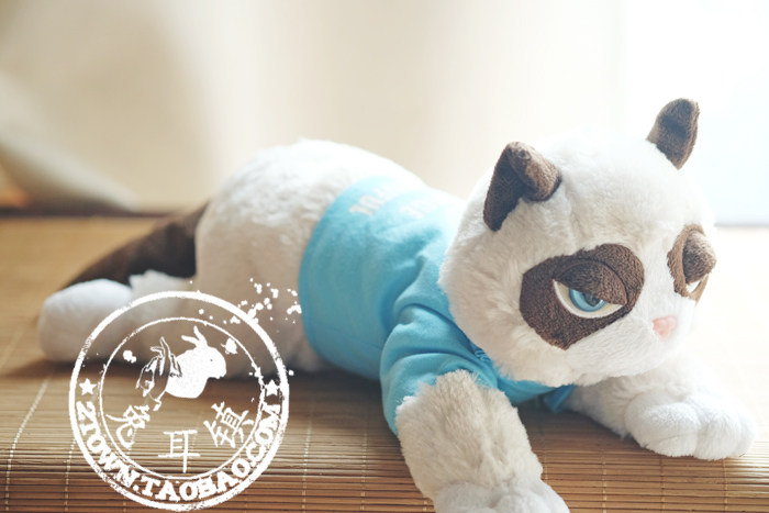 Peluche manga grumpy cat - Ref 2696050 Image 64