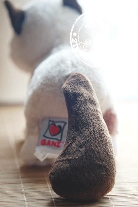 Peluche manga grumpy cat - Ref 2696050 Image 42