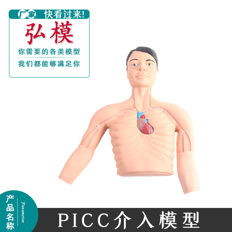 PICC介入训练模型中心静脉穿刺外周静脉穿刺示教练习模拟人