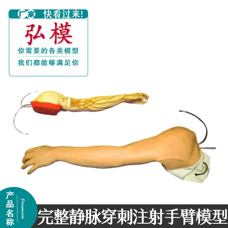 弘模全功能完整静脉穿刺及注射训练手臂模型静脉输液穿刺模具