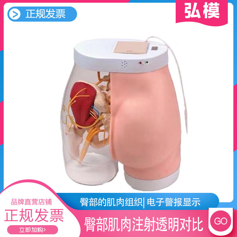 高级臀部肌肉注射训练及对比模型(带检测警示系统)臀部注射模型