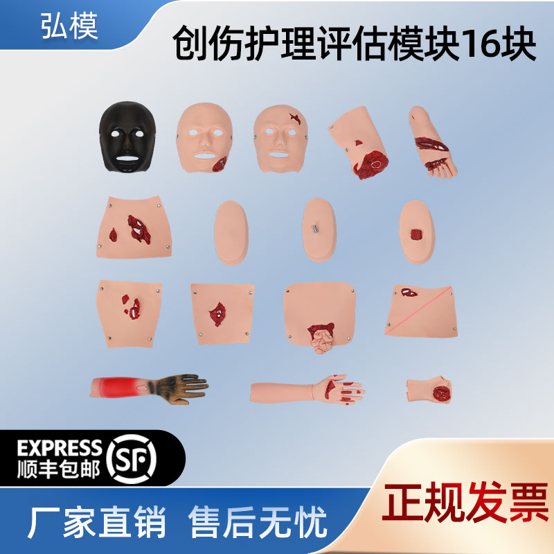 创伤模型 创伤评估模块 急救护理 医用急救模拟教具训练培训 16件