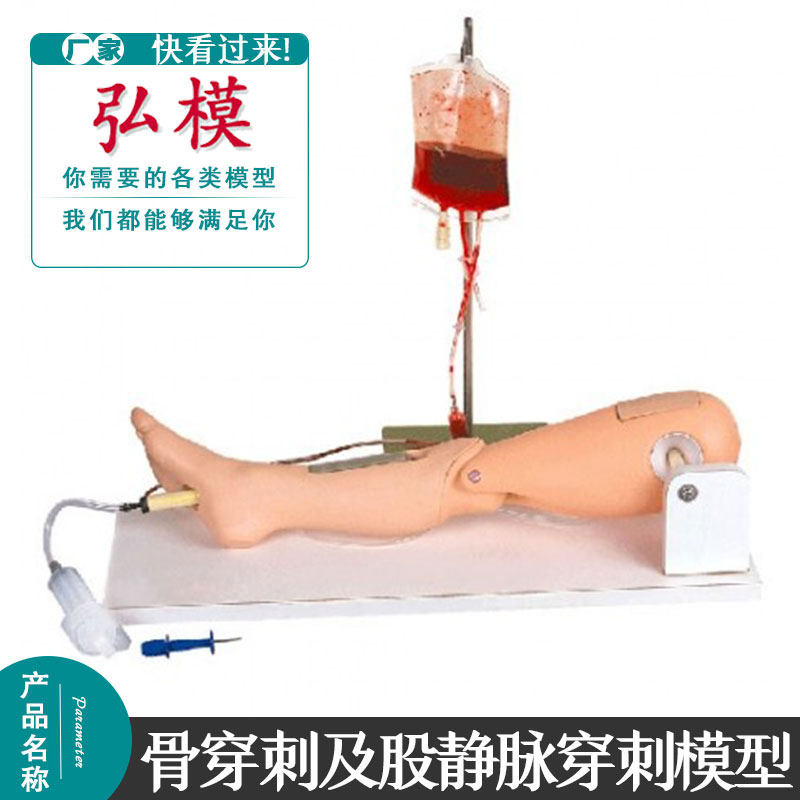 高级骨穿刺及股静脉穿刺模型 胫骨穿刺训练模型 注射部位模块