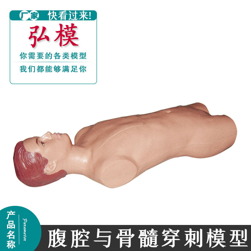骨髓穿刺模型 高级人体骨髓穿刺训练模型 医学用穿刺术操作模拟人