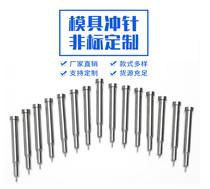 Die punch punch Precision high speed steel punch Standard T punch Guide needle Edge cutting Shaped punch Mold accessories
