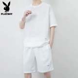 Playboy, мужской летний спортивный костюм, шелковая футболка для отдыха, короткий рукав