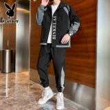 Playboy, мужской спортивный костюм, весенняя куртка, тренд сезона