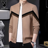 61093 Верблюд