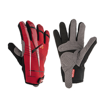 The glove for the giveaway