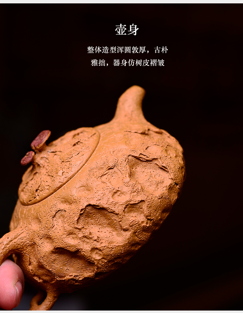 The macro new yixing ore gold period of mud all manual it thin foetus ganoderma lucidum for spring 200 ml The sketch