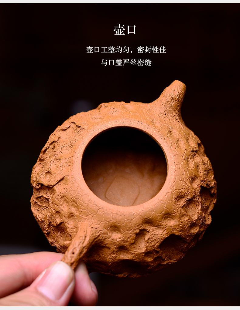 The macro new yixing ore gold period of mud all manual it thin foetus ganoderma lucidum for spring 200 ml The sketch