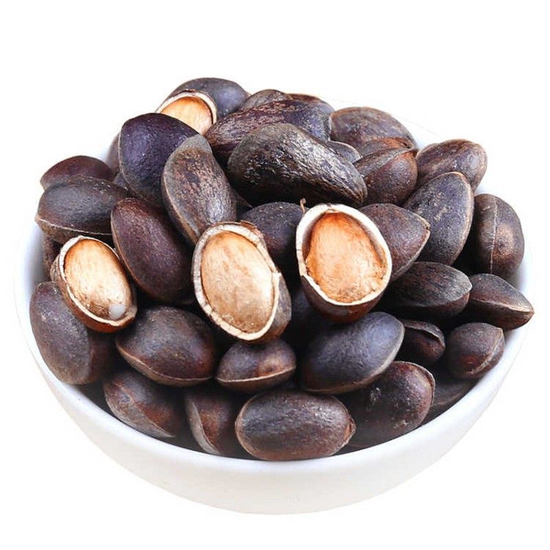 Parrot Pine Snacks Training Rewards Food Bird Grain Large Medium - Sized Grain High Nutrition Protein 100 g