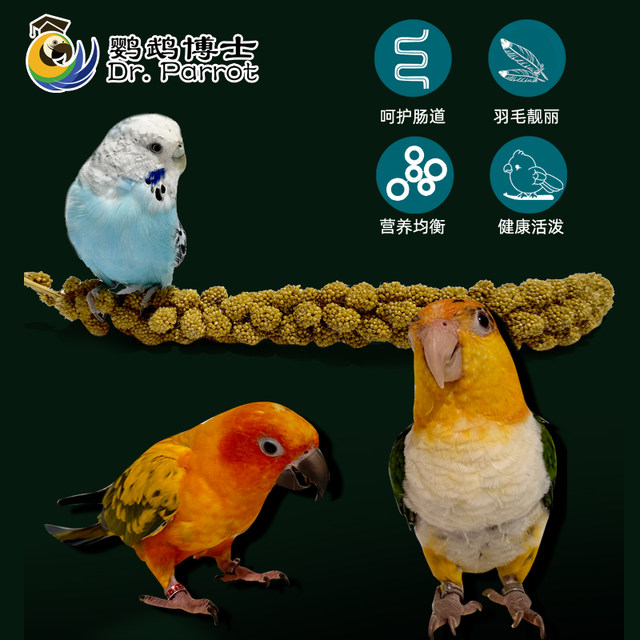 Grain ear millet ear millet ear parrot grain natural wheat ear bird food feed tiger skin Xuanfeng peony chewing toy