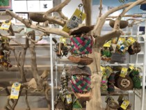 American AampE medium and large parrot supplies gnawed teeth anti-bite hair toy supplies environmental protection material surprise drum