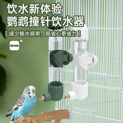 Doctor bird drink fountain bird drink water large, medium and small parrot striker kettle chinchilla rutin ໄກ່ເຄື່ອງປ້ອນນ້ໍາອັດຕະໂນມັດ